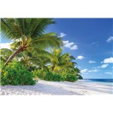 Fototapety palmy na pláži, rozmer 368 x 254 cm