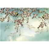 Papierové fototapety Sakura rozmer 368 cm x 254 cm