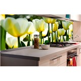 Samolepiace tapety za kuchynskú linku tulipány rozmer 180 cm x 60 cm