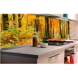 Samolepiace tapety za kuchynskú linku les v jeseni rozmer 180 cm x 60 cm