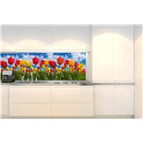 Samolepiace tapety za kuchynskú linku farebné tulipány rozmer 260 cm x 60 cm