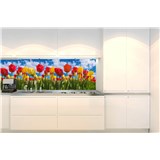 Samolepiace tapety za kuchynskú linku farebné tulipány rozmer 180 cm x 60 cm