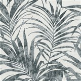 Vliesové tapety na stenu IMPOL IVY palmové listy sivéna bielom podklade