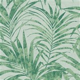 Vliesové tapety na stenu IMPOL NEU listy palmy zelené na svetlo zelenom podklade