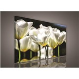 Obraz na stenu biele kvety 75 x 100 cm