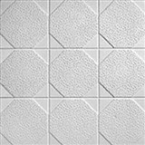 Stropné panely 3D EPS OKTA S biely rozmer 50 x 50 cm