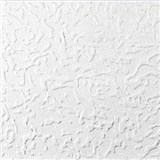 Stropné panely 3D EPS PASAT Z biely rozmer 50 x 50 cm