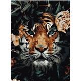 Maľovanie podľa čísel tiger rozmer 40 x 50 cm