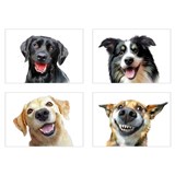 Samolepky na stenu selfie veselí psi rozmer 45 x 65 cm