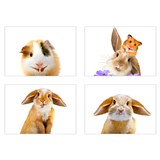 Samolepky na stenu selfie morča a králiček rozmer 45 x 65 cm