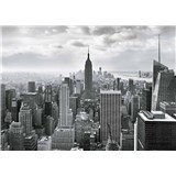 Fototapety New York Black and White, rozmer 368 x 254 cm