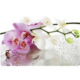 Dekoratívne prestieranie na stôl ORCHID rozmer 250 x 410 mm