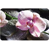 Dekoratívne prestieranie na stôl ORCHIDEJ rozmer 270 x 410 mm - POSLEDNÉ KUSY