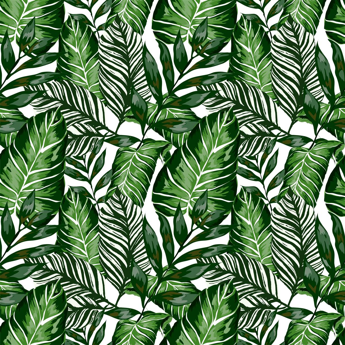 Samolepiace tapety tropical listy - 67,5 cm x 15 m
