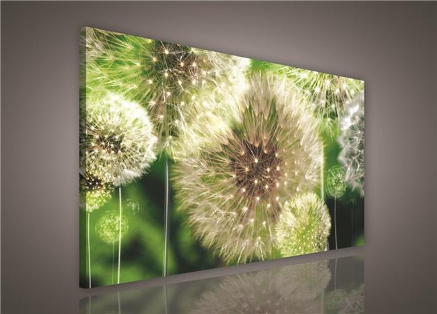 Obraz na stenu púpavy 100 x 75 cm