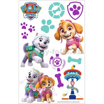 3D Penová dekorace na stenu Labková patrola Skye, Everest (Paw Patrol)