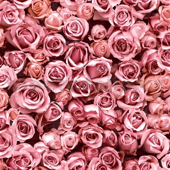 Vliesové tapety na stenu IMPOL Escapade ruže ružové