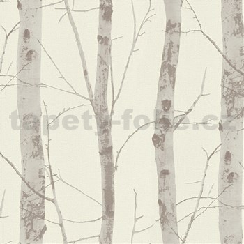 Vliesové tapety na stenu Instawalls kmene stromov s vetvami hnedé na bielom podklade