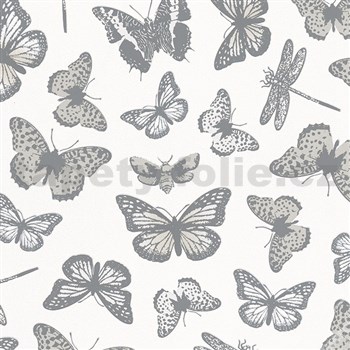 Vliesové tapety na stenu Felicita motýle sivo-strieborné na bielom podklade