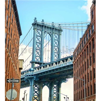 Vliesové fototapety Manhattan Bridge rozmer 225 cm x 250 cm