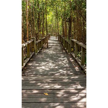 Vliesové fototapety mangrovový les rozmer 150 cm x 250 cm