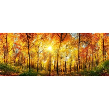 Vliesové fototapety slnečný svit v lese rozmer 375 cm x 150 cm - POSLEDNÉ KUSY