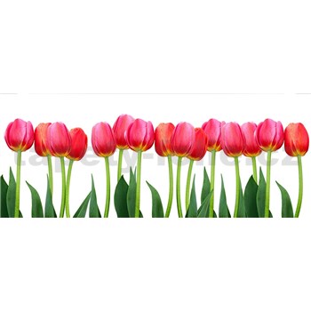 Vliesové fototapety tulipány rozmer 375 cm x 150 cm