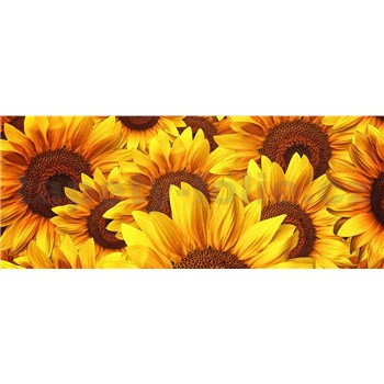 Vliesové fototapety kvety slnečnic rozmer 375 cm x 150 cm
