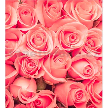Vliesové fototapety ruže rozmer 225 cm x 250 cm