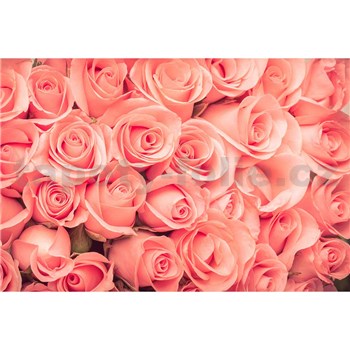 Vliesové fototapety ruže rozmer 375 cm x 250 cm - POSLEDNÉ KUSY