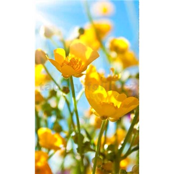 Vliesové fototapety žlté kvety rozmer 150 cm x 250 cm