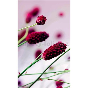 Vliesové fototapety kvetiny fialové rozmer 150 cm x 250 cm
