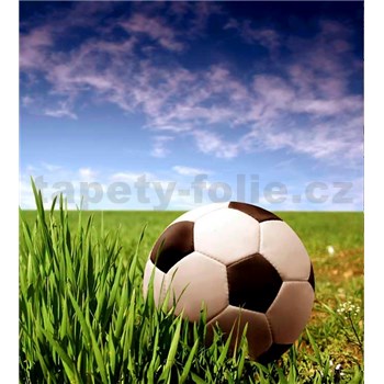 Vliesové fototapety futbalová lopta rozmer 225 cm x 250 cm
