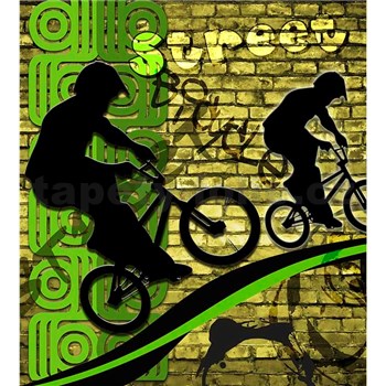 Vliesové fototapety bicycle green rozmer 225 cm x 250 cm