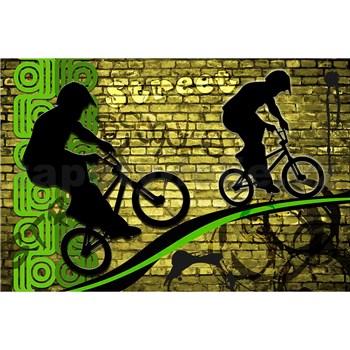 Vliesové fototapety bicycle green rozmer 375 cm x 250 cm