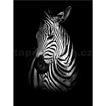 Vliesové fototapety zebra rozmer 184 cm x 254 cm