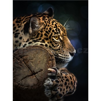 Vliesové fototapety jaguár rozmer 184 cm x 254 cm