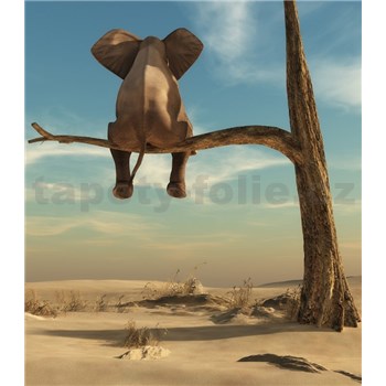 Vliesové fototapety slon na strome rozmer 184 cm x 254 cm