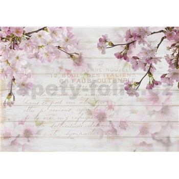 Vliesové fototapety kvety sakury na dreve rozmer 368 cm x 254 cm