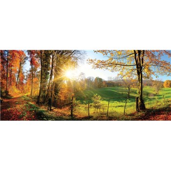 Vliesové fototapety slnko a les rozmer 250 cm x 104 cm