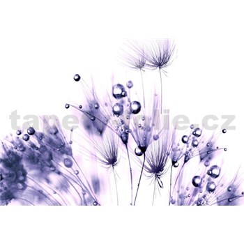 Vliesové fototapety fialové rastliny-rosa, rozmer 312 cm x 219 cm