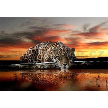 Vliesové fototapety leopard, rozmer 312 cm x 219 cm