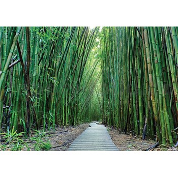 Vliesové fototapety bambus Vietnam rozmer 368 cm x 254 cm