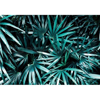 Vliesové fototapety palmové listy rozmer 368 cm x 254 cm