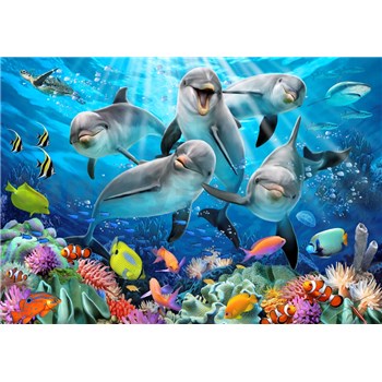 Vliesové fototapety selfie delfíny rozmer 368 cm x 254 cm