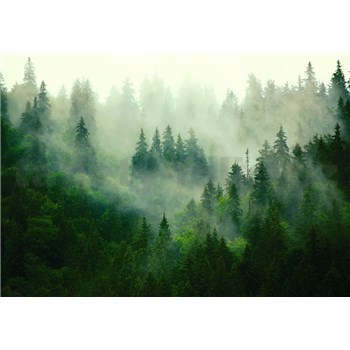 Vliesové fototapety opar nad lesom rozmer 368 cm x 254 cm