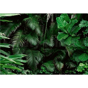 Vliesové fototapety Jungle listy rozmer 368 cm x 254 cm