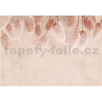 Vliesové fototapety suché kvety BOHO rozmer 368 cm x 254 cm