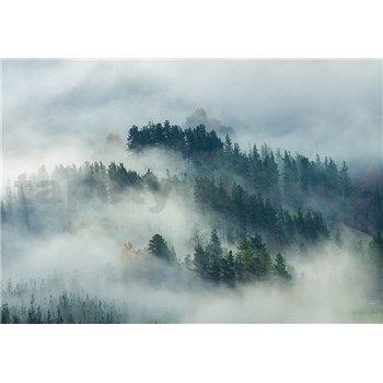 Vliesové fototapety lesy v hmle rozmer 368 cm x 254 cm