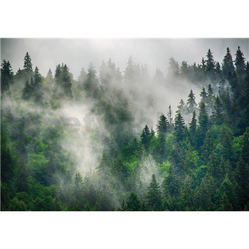 Vliesové fototapety les v hmle rozmer 368 cm x 254 cm